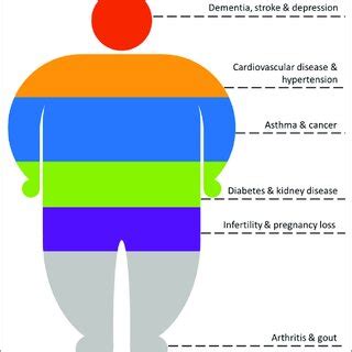 Complications due to obesity. | Download Scientific Diagram