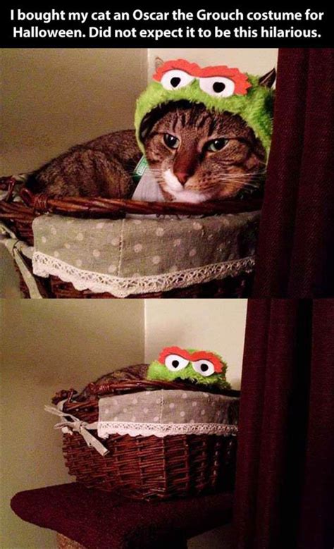 oscar the grouch costume funny pictures - Dump A Day