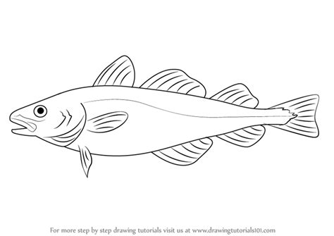 Learn How to Draw an Atlantic Cod (Fishes) Step by Step : Drawing ...