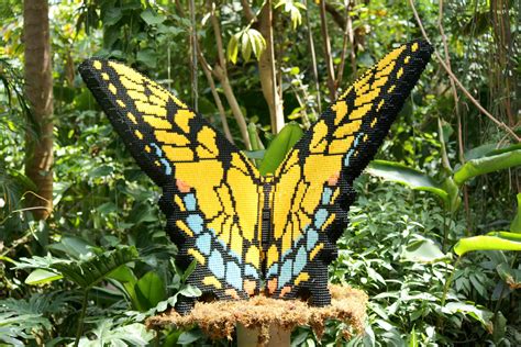 Lego Butterfly 2 Free Stock Photo - Public Domain Pictures