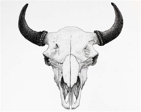 Pin by Nicola Garo on Drawing and art | Bull skull tattoos, Bison skull, Buffalo skull