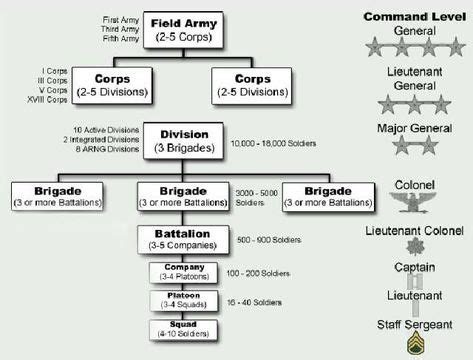 How the U.S. Army Is Organized | Military ranks, Army structure, Army ranks