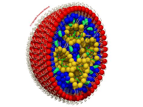 Lipid Nanoparticles - Prorenata Biotech