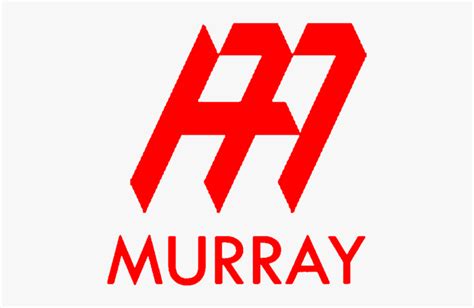 Andy Murray, HD Png Download - kindpng