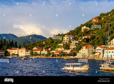 Rose village, Lustica peninsula, Luštica, near Herceg Novi, Kotor bay ...