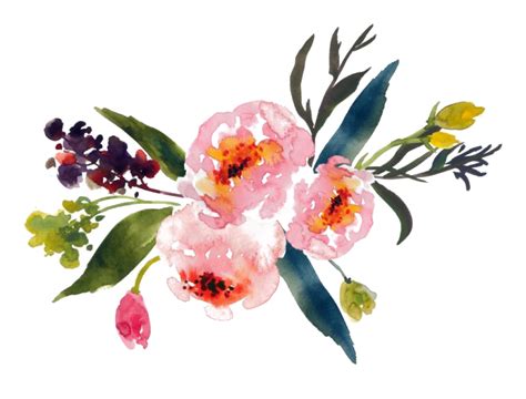 Watercolor Flower Art Free HD Image Transparent HQ PNG Download | FreePNGImg