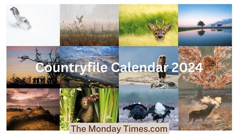 Countryfile Calendar 2024 The Monday Times - The Monday Times