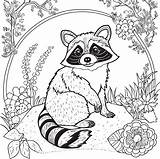Coloring Pages Raccoon Printable For sketch template