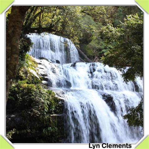 Liffey falls, Tasmania | Tasmania, Waterfall, Outdoor