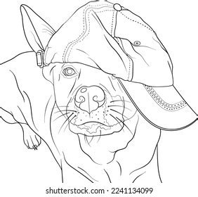 Dog Wearing Baseball Cap Colouring Page Stock Vector (Royalty Free) 2241134099 | Shutterstock