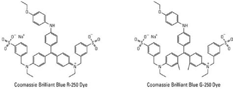 Coomassie Brilliant Blue (Molecular Biology), 47% OFF