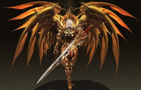 Wings, warrior, fantasy, art, level, LVL, Solar interference signal ...