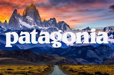 NO MORE ADDING BRAND LOGOS TO PATAGONIA, HERE'S SOME ALTERNATIVES... - Culture Studio