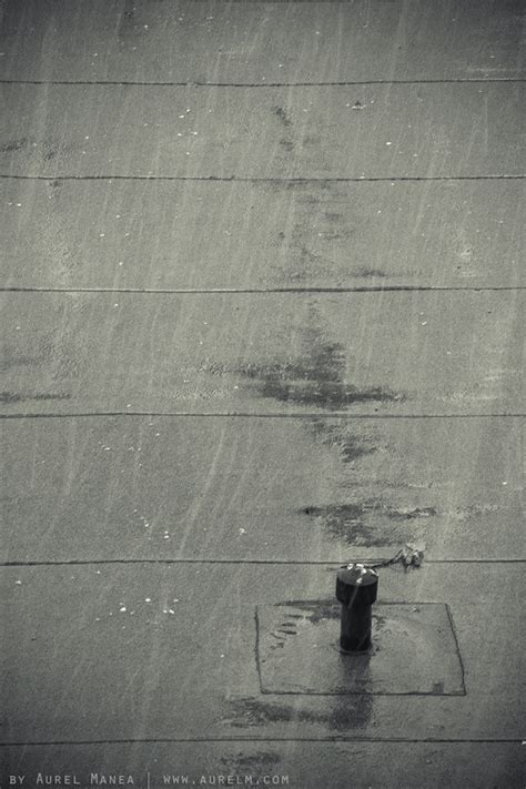 White rain.. in black and white - DYSTALGIA : Aurel Manea photography ...