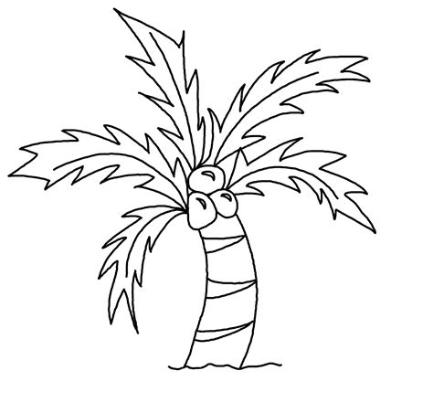 Coloring Page Coconut Tree Clipart Black And White - Vector Palm Tree Outline Funny Tropical ...