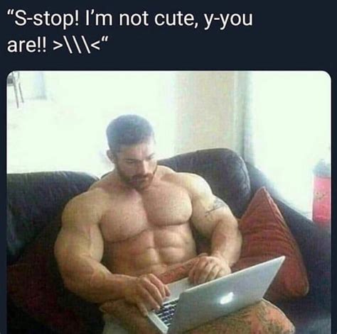 S-stop i'm not cute | Buff Guys Typing on Laptops / Why Yes, How Could You Tell? | Know Your Meme