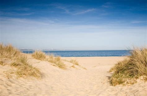 Studland Beach | The Dorset Guide