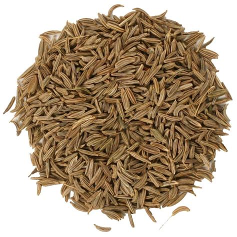 Caraway Essential Oil Organic - Carum Carvi Seed Egypt