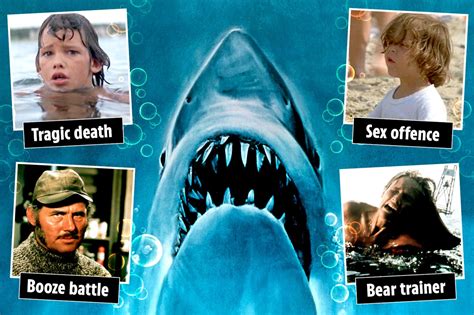 Where the Jaws cast are now - from sexual harassment scandal to booze battle and tragic deaths ...