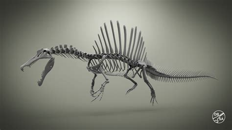 ArtStation - Spinosaurus Skeleton