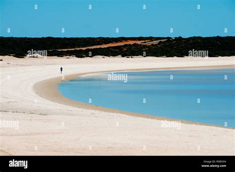 Shark bay australia hi-res stock photography and images - Alamy