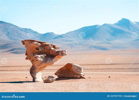 Stone Tree Arbol De Piedra on the Plateau Altiplano, Bolivia Stock ...