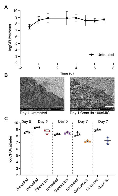 Frontiers | Pulse Dosing of Antibiotic Enhances Killing of a Staphylococcus aureus Biofilm