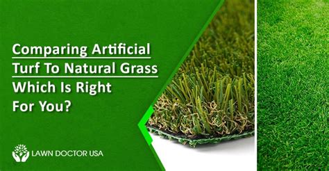 Comparing Artificial Turf To Natural Grass: Which Is Right For You?