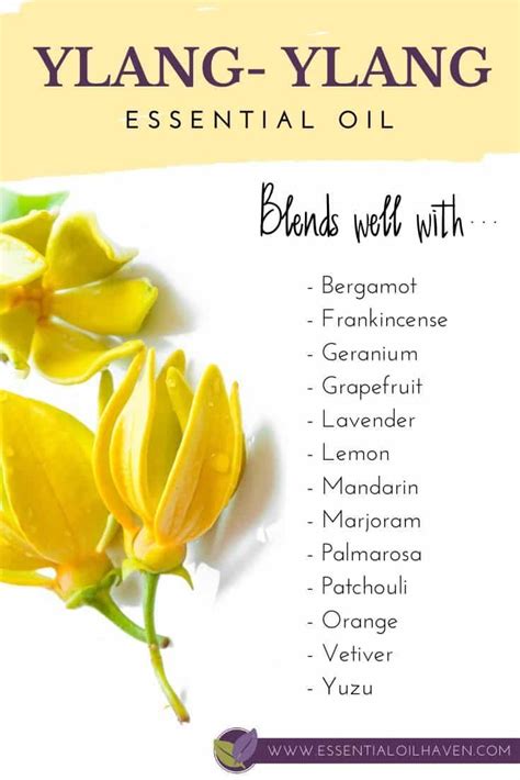 10 Diffuser Blends with Ylang Ylang Essential Oil – FREE Recipes ...