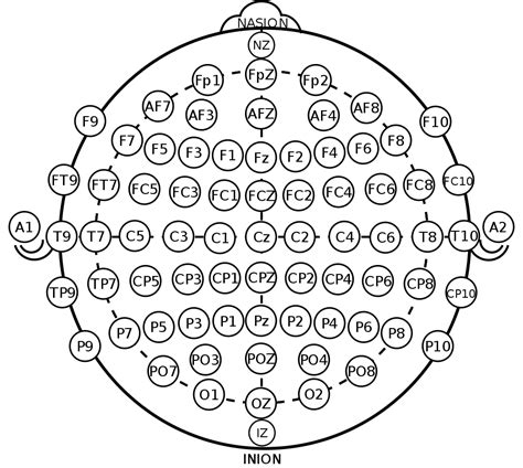 Electrode Placement - Department of Psychology