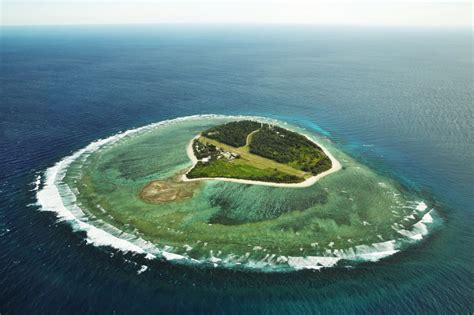 A Dream Realized on Lady Elliot Island [Pics]