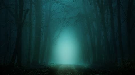 Morning Wallpaper 4K, Forest, Path, Foggy, Teal, Cold