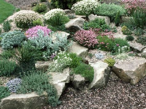 10+ images about Rock Gardens & Ground Covers on Pinterest | Gardens, Sun and Succulent rock garden