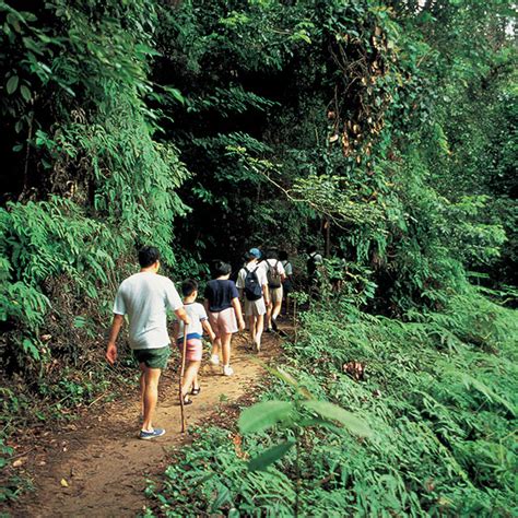 Bukit Timah Nature Reserve: Discover the Wildlife - Visit Singapore Official Site