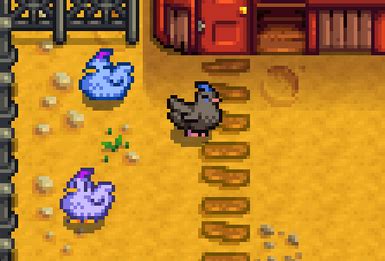 Stardew Valley Chicken Wallpaper