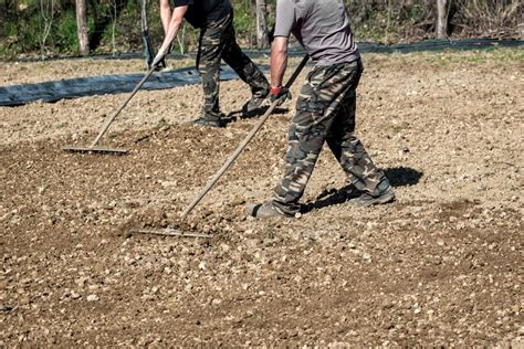 Soil Tilling 101: How To Manually Till Your Soil The Efficient Way