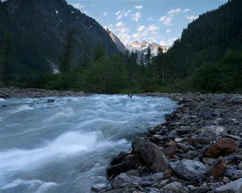 Skinner Sightings: The Enchanted Valley, Olympic National Park