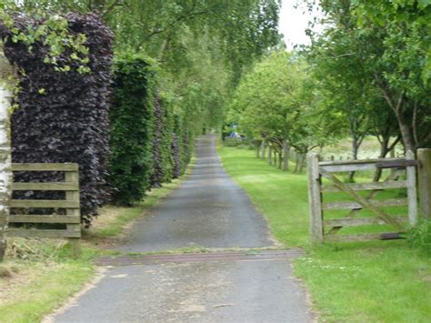 Impressive, tree-lined driveway © James Denham :: Geograph Britain and Ireland