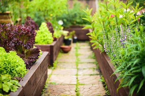 Before You Build Raised Beds for Gardening