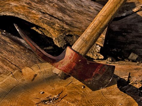 What Is A Pulaski Axe? - Timber Gadgets