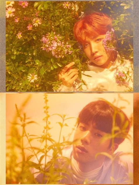 Love Yourself Her Concept Photos Versions L.O.V.E | ARMY's Amino