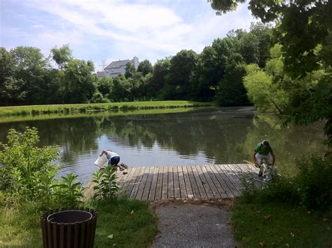 Ecology of Stormwater Ponds – Biodiversity Research @ UMBC - UMBC