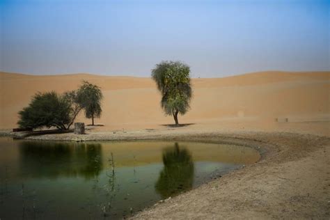 Qasr Al Sarab UAE - 1 great spots for photography