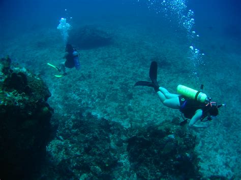 Little Corn Island Diving | Blowing Rock | Steve Ray | Flickr