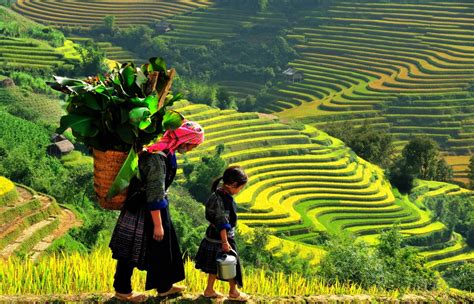 Sapa trekking — The fullest guide for your trekking in Sapa, Vietnam - Living + Nomads – Travel ...