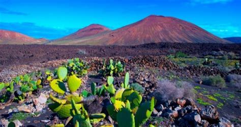 Discover the Top Volcanoes in Lanzarote | Ferryhopper