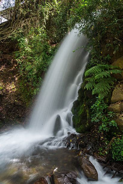 Waterfalls In Uruapan Michoacan Mexico Stock Photos, Pictures & Royalty ...