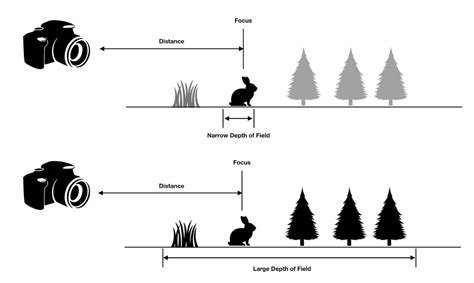 What is Depth of Field? Examples of Shallow vs Deep Depth of Field