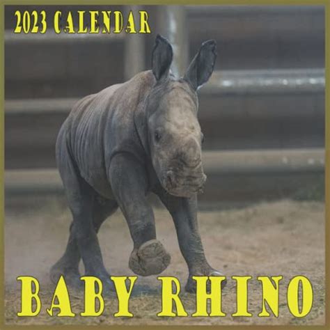 Baby Rhino 2023 Calendar: 16 month calendar 2023 to 2024 with high quality A perfect gift for ...