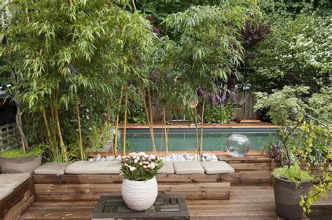 Top 18 Poolside Decorating Ideas for a Backyard Oasis | Decorilla